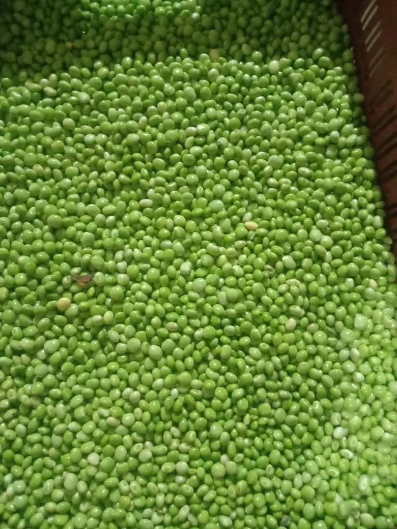 Pigeon Peas
